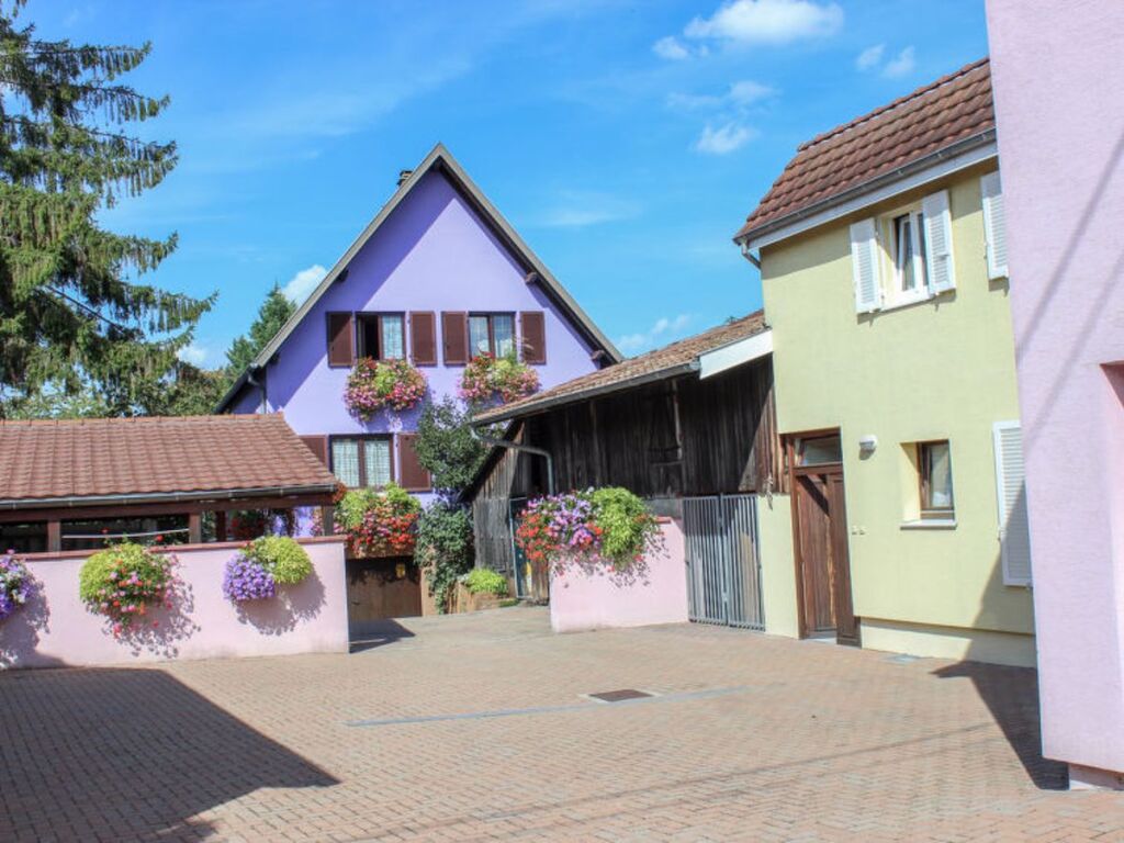 Ria Sidence Jaune Et Rose 33625 — Marckolsheim