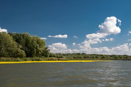 Tulipános Pihenőház Abádszalók — Abadszalok — photo 2
