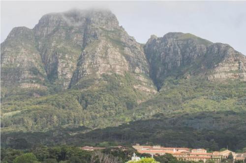 Rondebosch Court