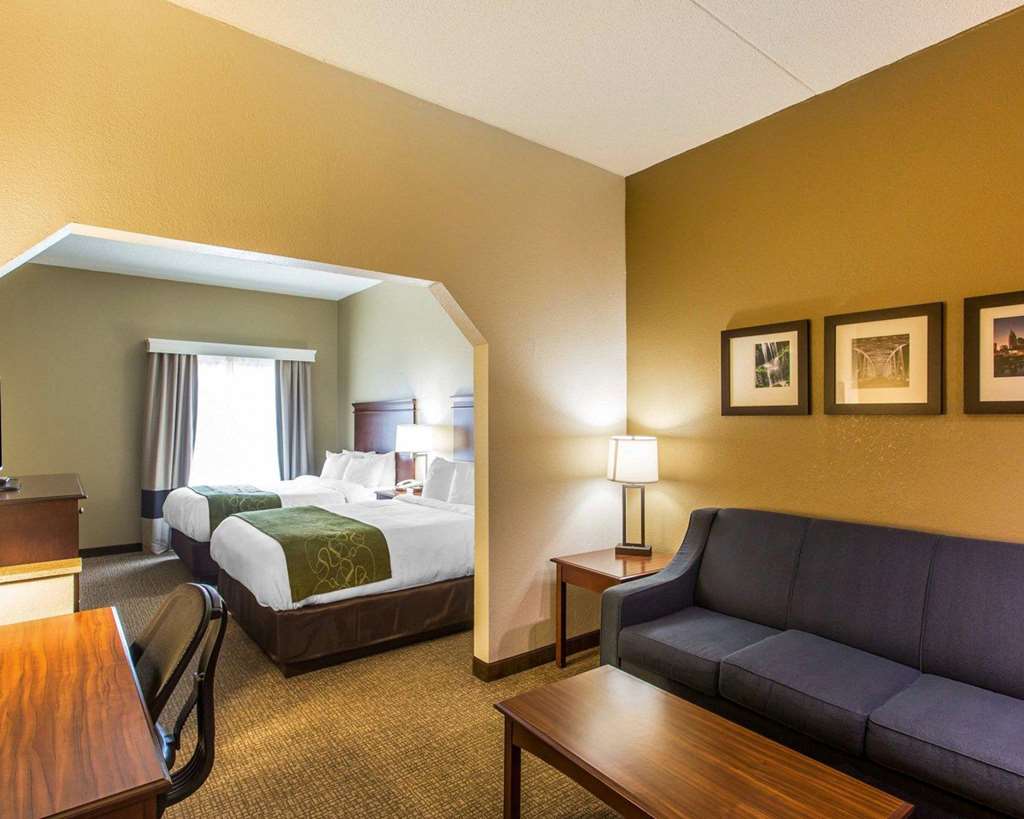 Comfort Suites Cookeville - photo 24