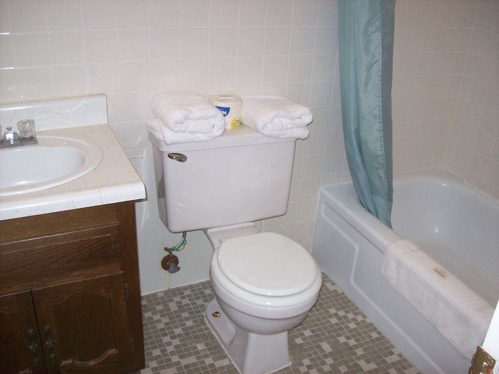 Ozark Plaza Motel & RV Park - photo 4