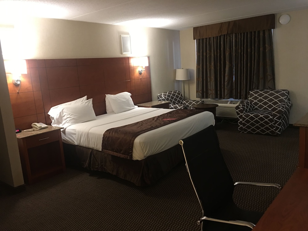 Ramada by Wyndham Rockville Centre - photo 7
