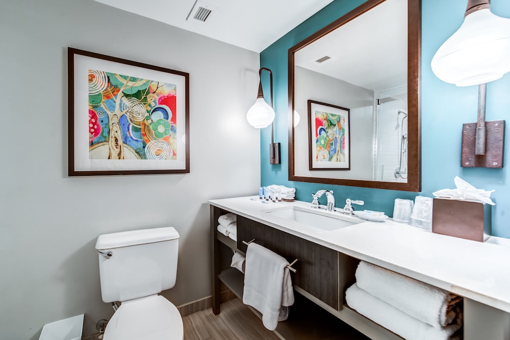 Hotel Indigo Atlanta Vinings by IHG - photo 48