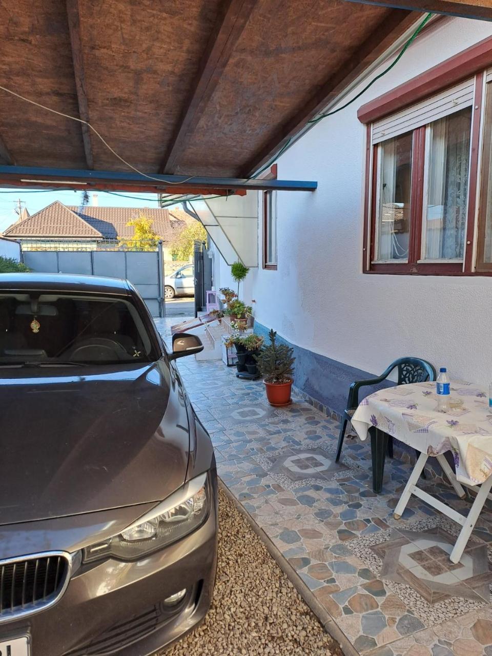 Comaniciu Sorin in Fagaras, Romania