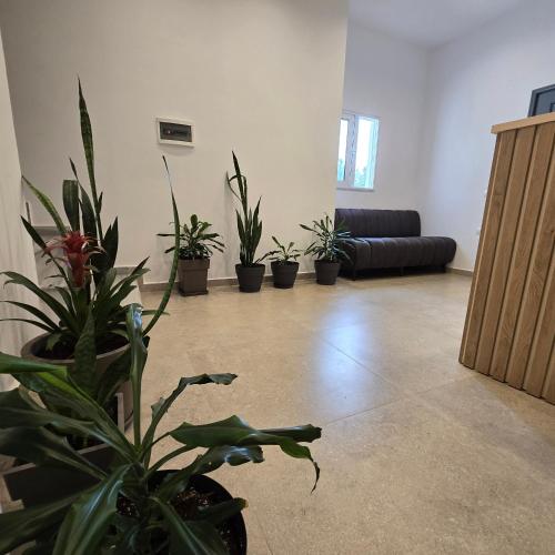 D&D Hotel Ksamil in Ksamil, Albania