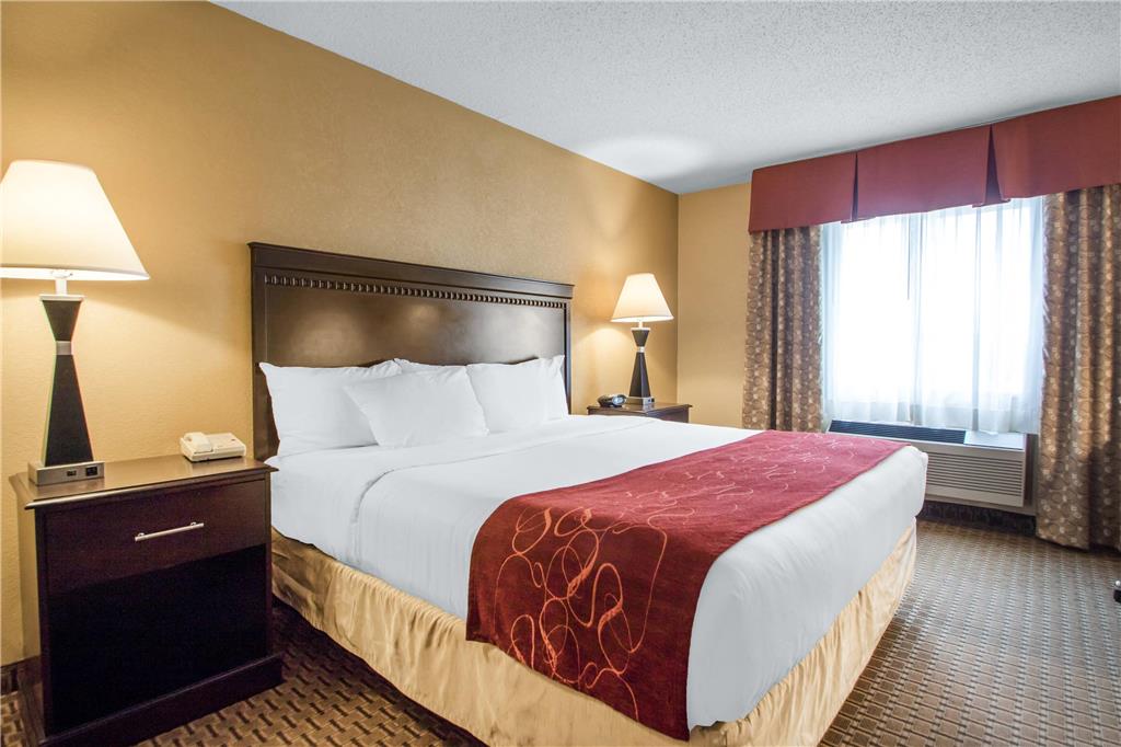 Comfort Suites Wisconsin Dells Area - photo 17