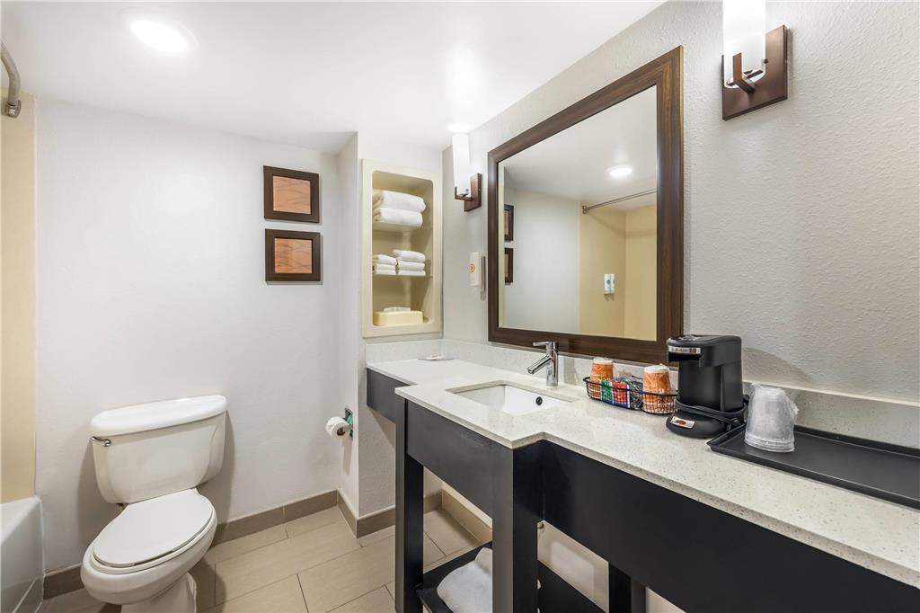 Comfort InnSuites ChattanoogaWest Lookout Mountain - photo 10