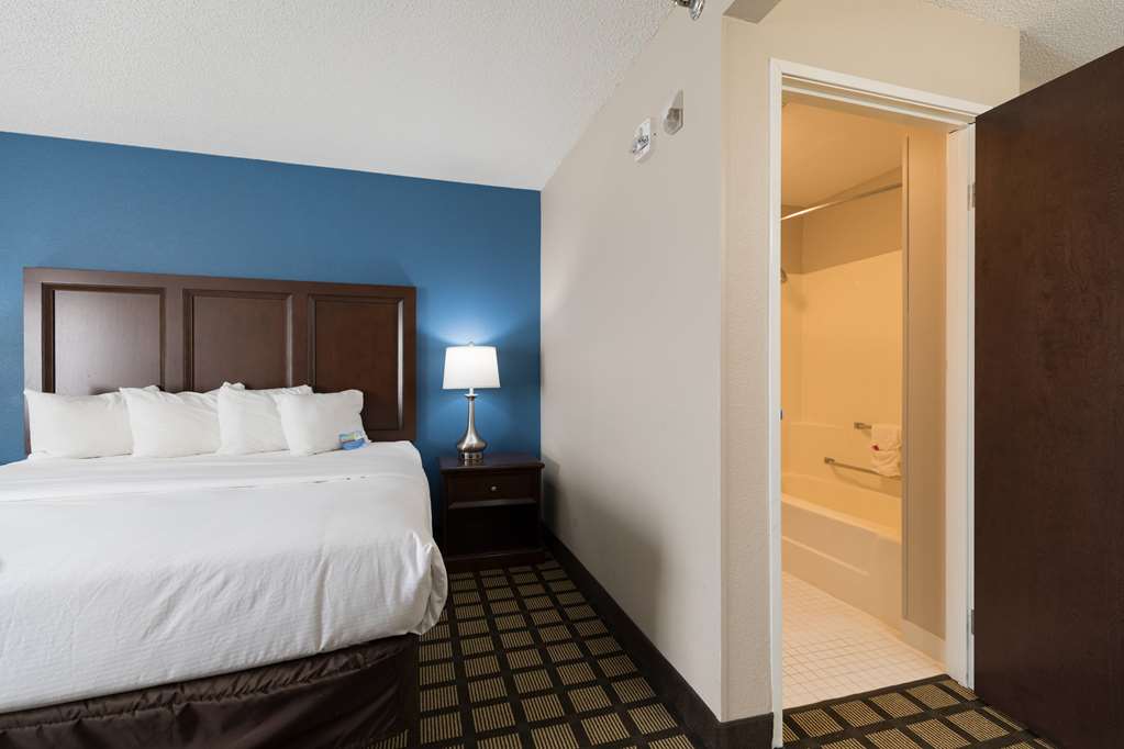 Baymont by Wyndham Detroit Airport Romulus - photo 20
