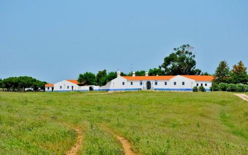Herdade Da Negrita — Moura