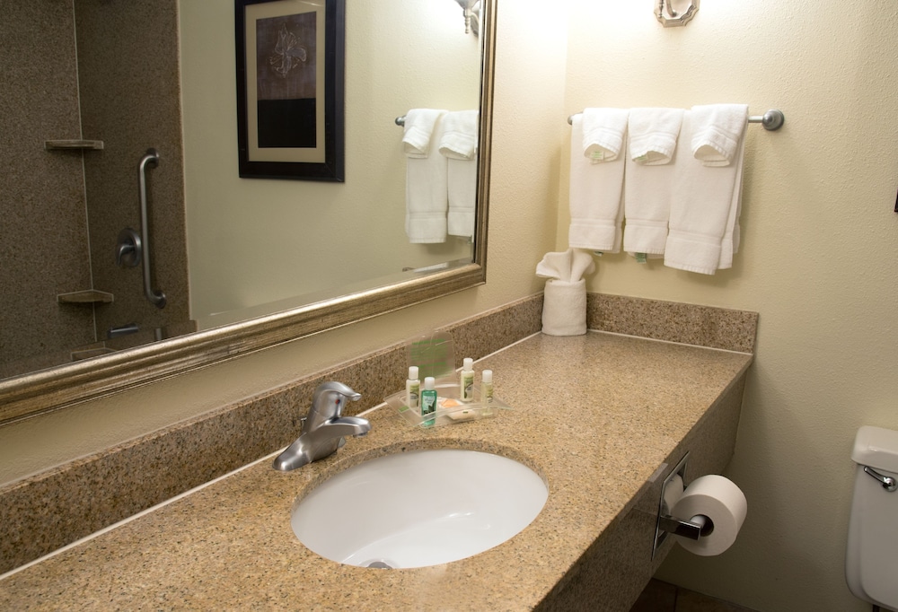 Holiday Inn Hotel & Suites Charleston West by IHG - photo 26
