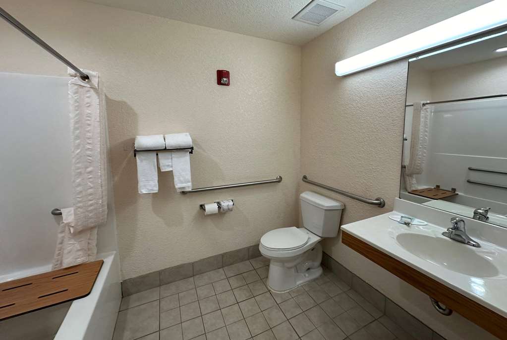 Microtel Inn & Suites by Wyndham Tomah - photo 23