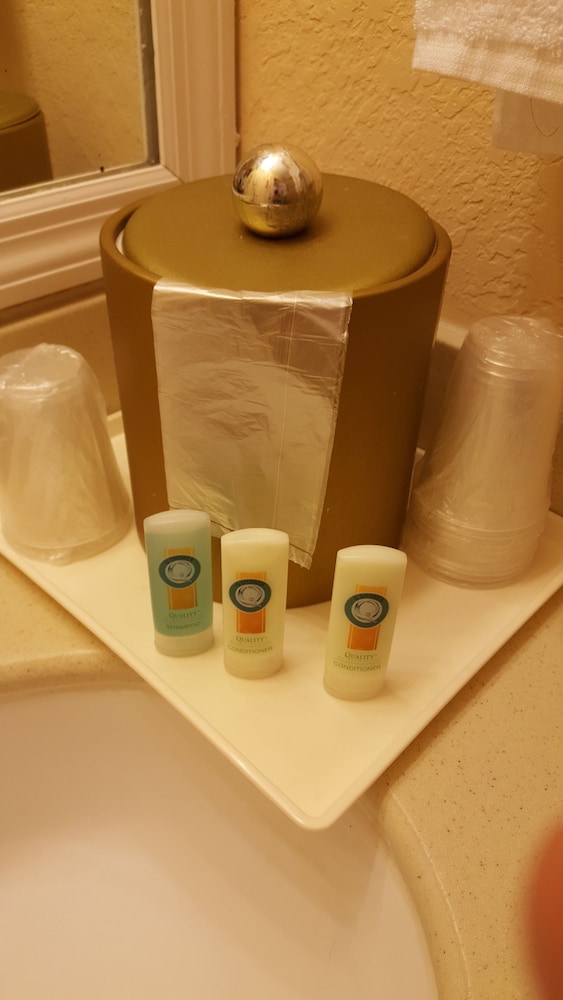 Econo Lodge Busch Gardens - photo 35
