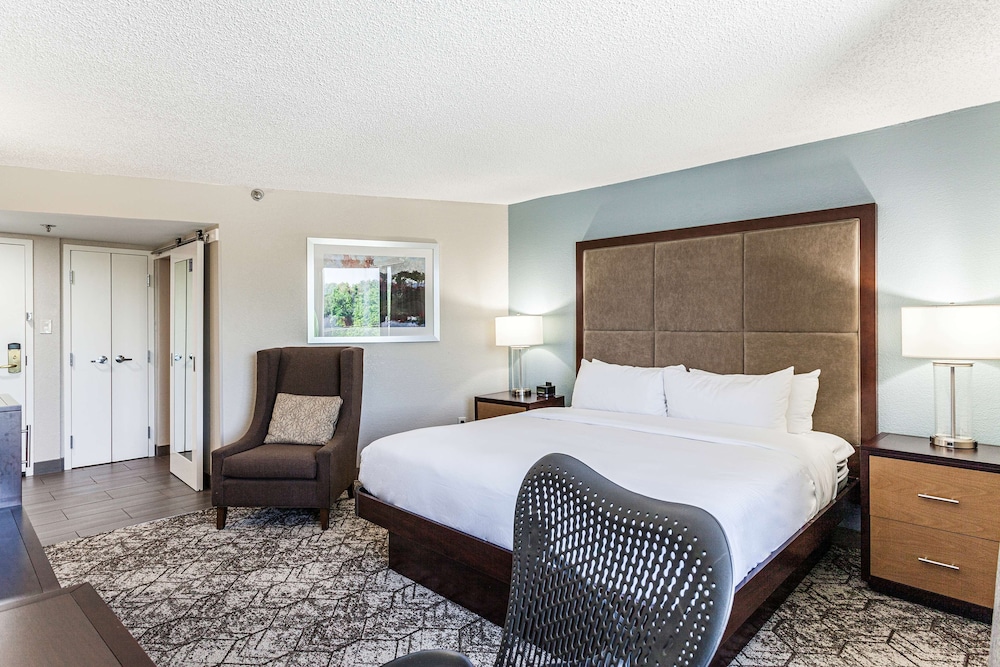 DoubleTree by Hilton Hotel Memphis - photo 12