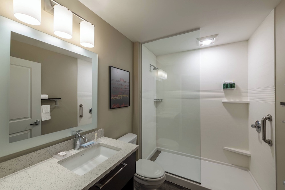 TownePlace Suites by Marriott St. Louis Edwardsville IL - photo 14