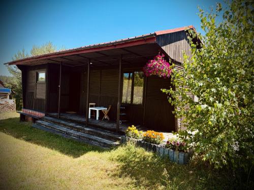 Zielone Roztocze in Susiec, Poland