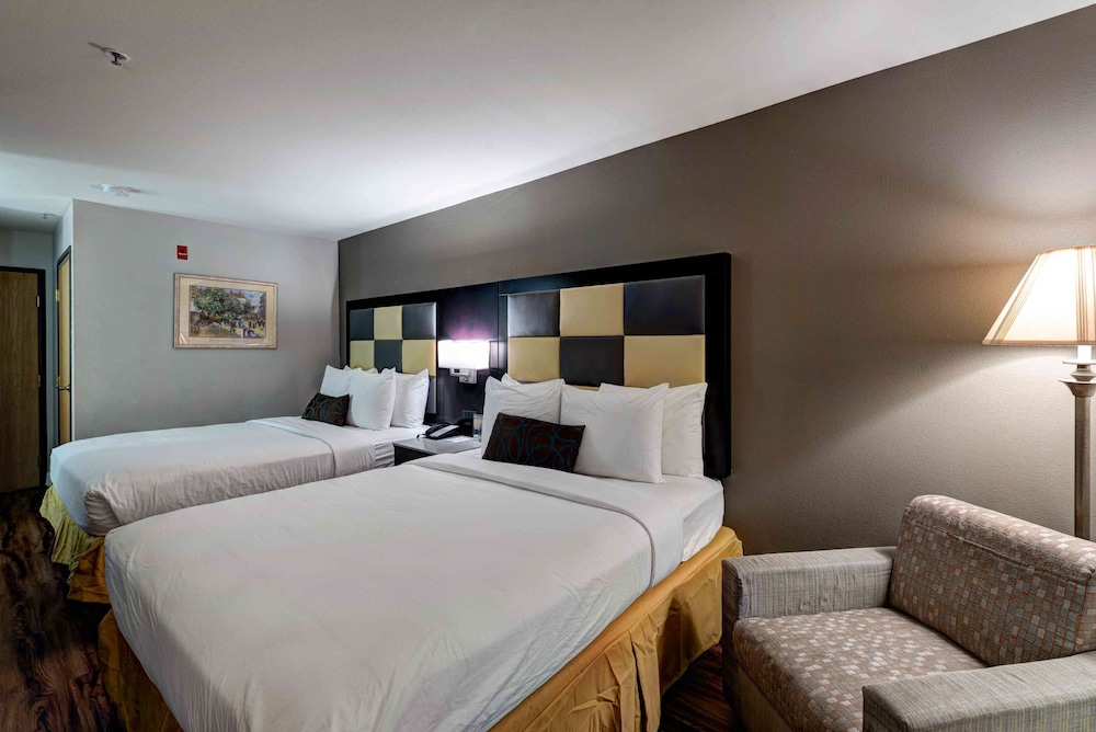 SureStay Plus Hotel by Best Western Redding - photo 11