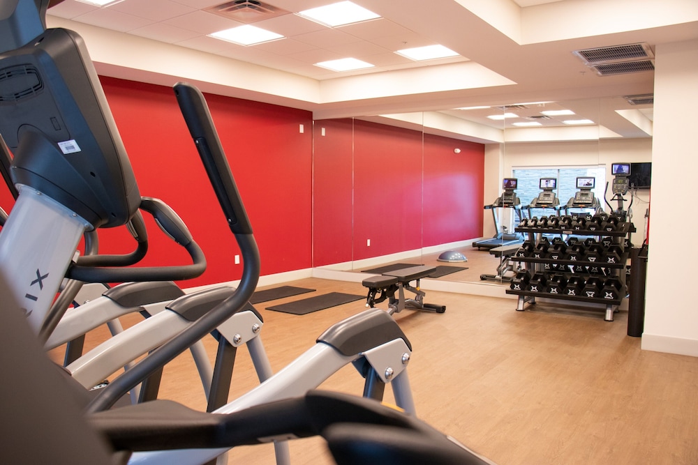 Holiday Inn Express and Suites Tuscaloosa East Cottondale - photo 10
