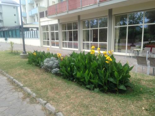 Hotel Antares — Unknown City — photo 4