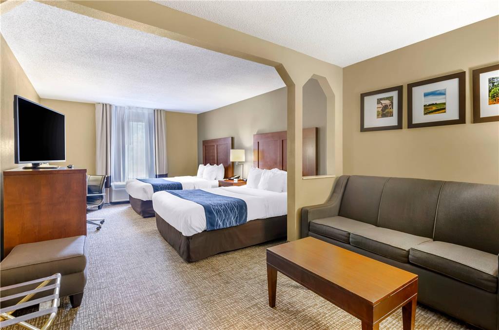 Comfort Inn & Suites Christiansburg I 81 - photo 17