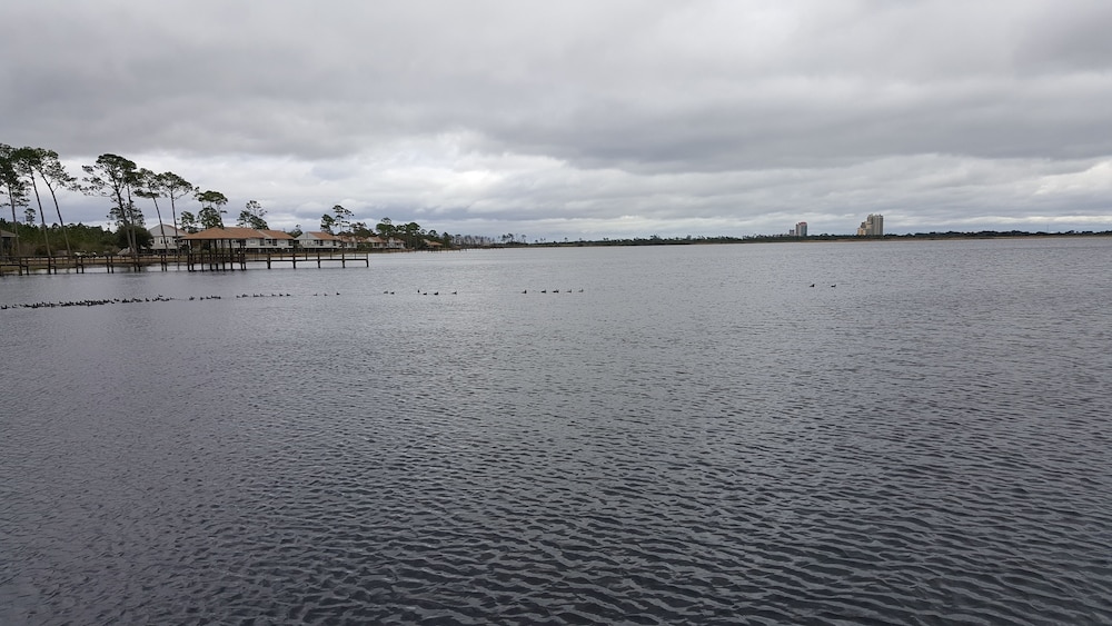 Eagle Cottages at Gulf State Park - photo 18