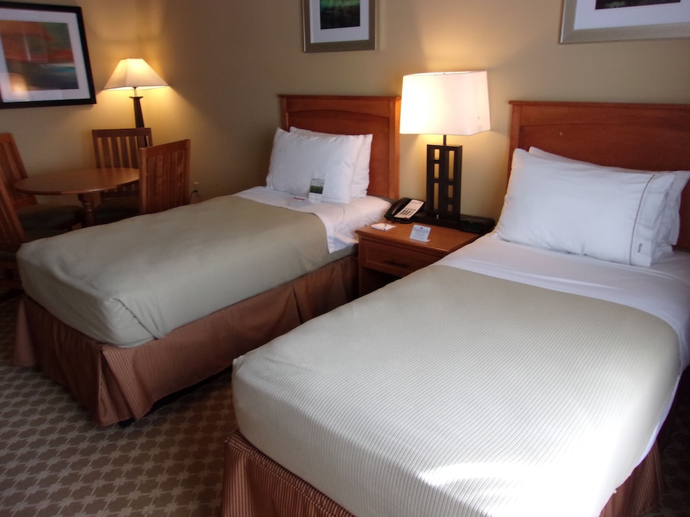 Holiday Inn Express & Suites Chicago West Roselle an IHG Hotel - photo 5
