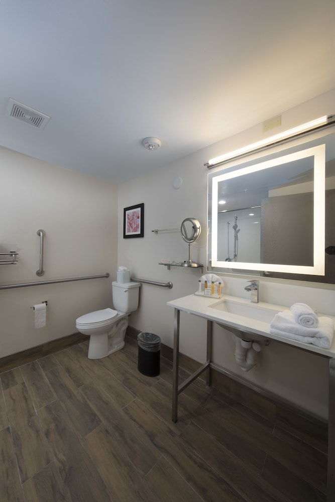 Holiday Inn Brookfield Milwaukee by IHG - photo 27