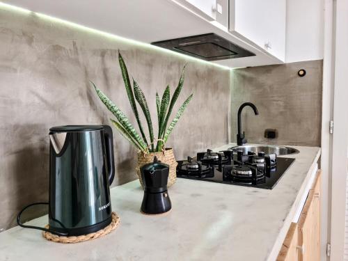 Chic Surf Inspired Mezzanine Studio Coco Palm — Sal Rei — photo 3