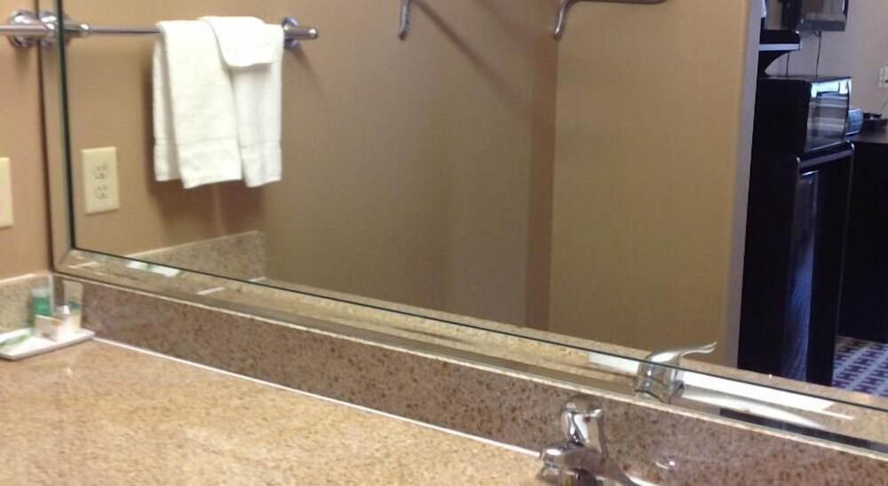 Palace Inn Fairbanks - photo 15