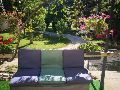 Mado — carbon neutral stay, Unknown City