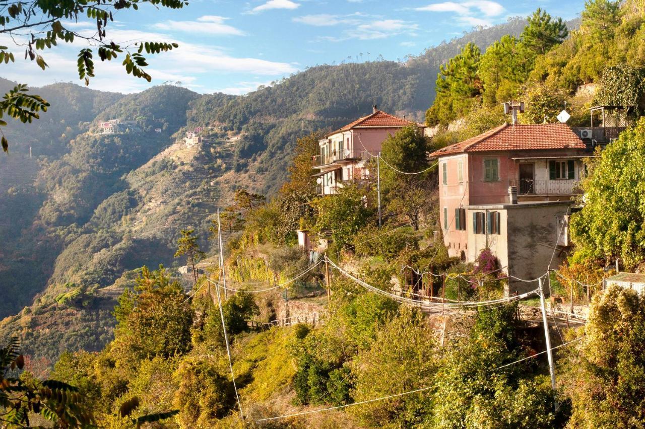 Seroa 1 — Vernazza