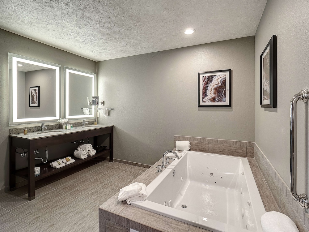 DoubleTree by Hilton Hotel Bloomington - photo 17