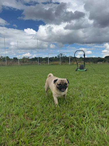 Chacara Paraiso in Unknown City, Brasil