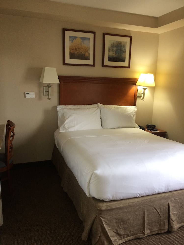 Candlewood Suites Jacksonville an IHG Hotel - photo 5