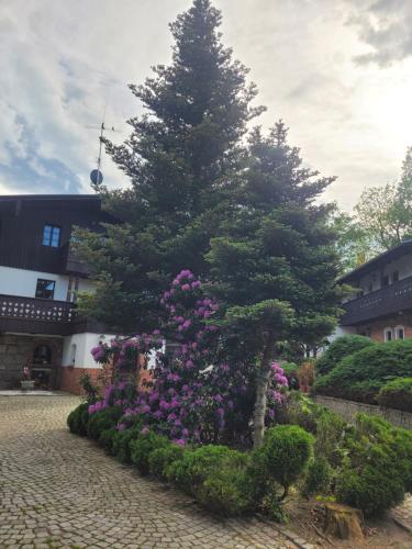 Gardenia - last minute hotel in Jelenia Gora