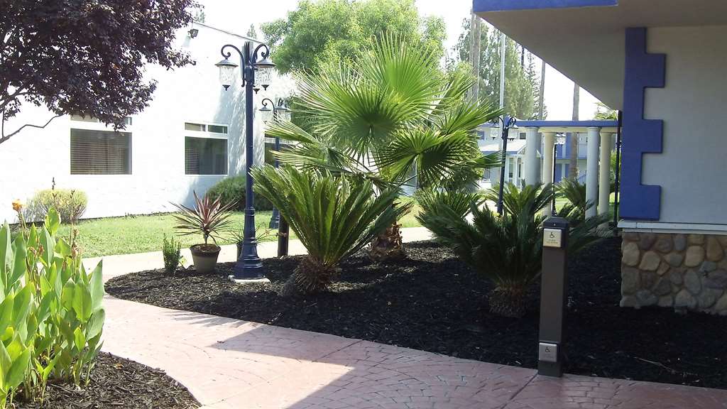 SureStay Plus Hotel by Best Western Sacramento Cal Expo - photo 21