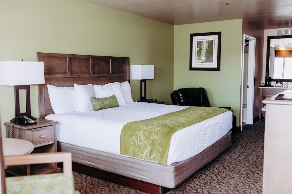 Pacific Inn Motel — hotel in Forks