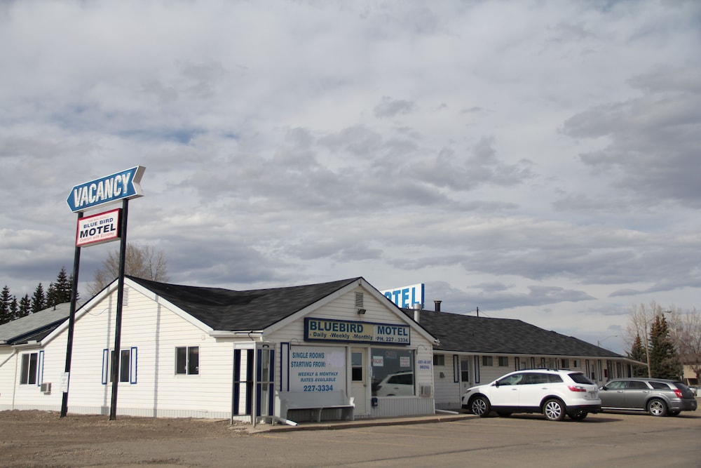 Bluebird Motel - last minute hotel in Unknown City