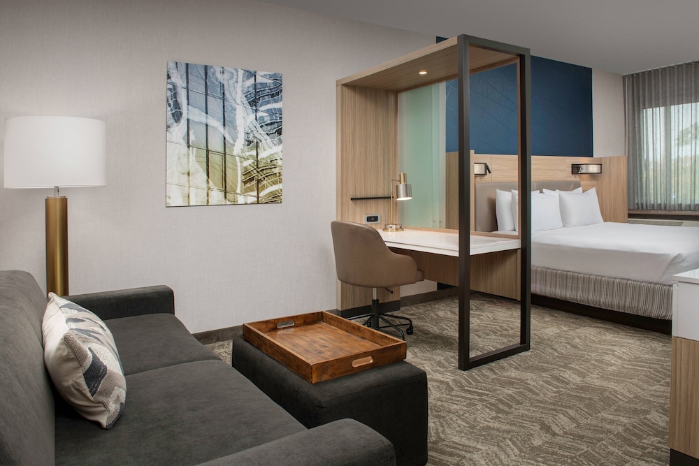 SpringHill Suites by Marriott Charleston Airport & Convention Center - photo 10