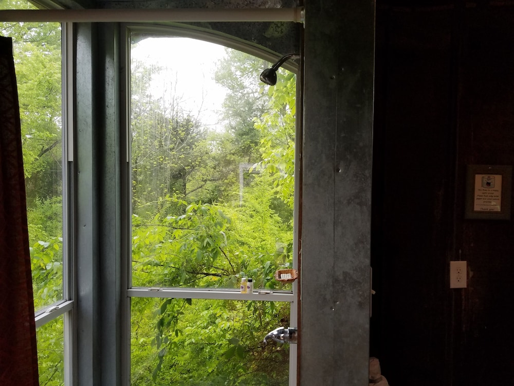 Savannah's Meadow - photo 53