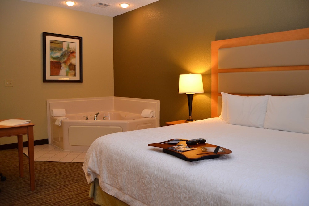 Hampton Inn & Suites Kalamazoo Oshtemo - photo 23