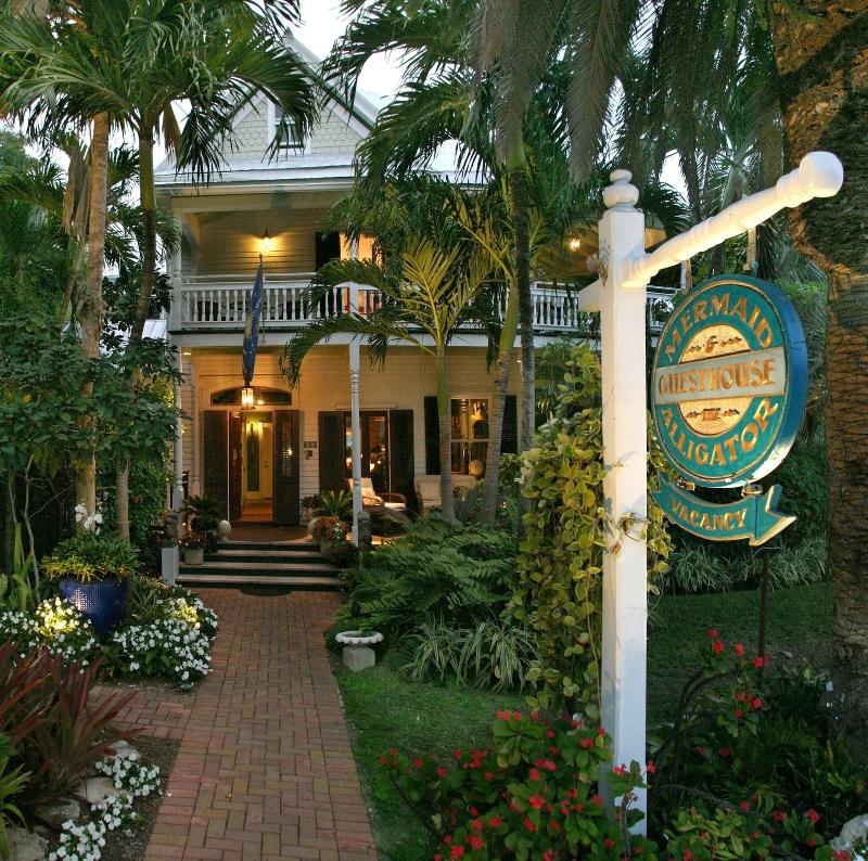 The Mermaid & Alligator - featured photo