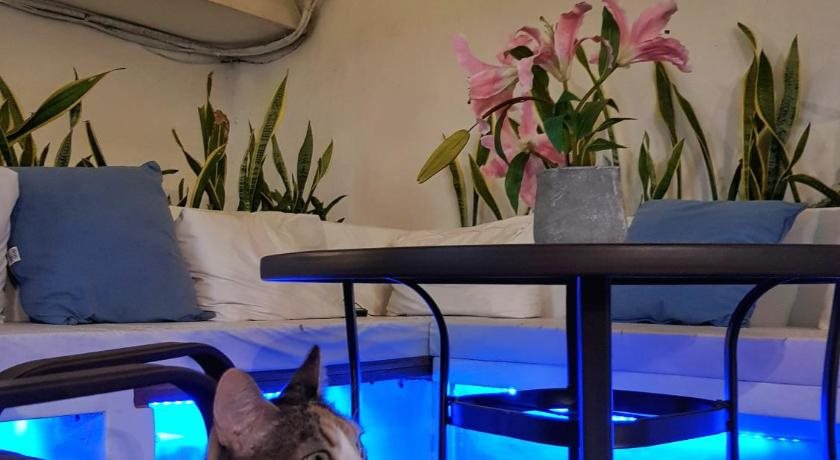 Casssa Vlanca Hotel in Palenque, Mexico