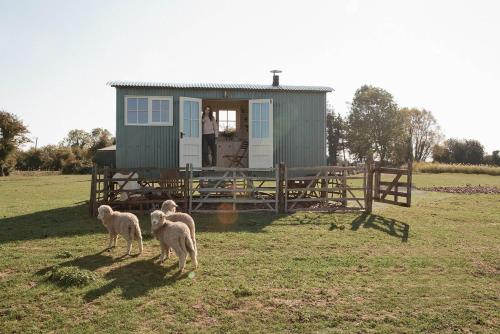 The Lookerer by Bloom Stays in Ashford, United Kingdom