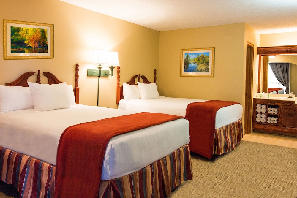 Wild Bear Inn - photo 6