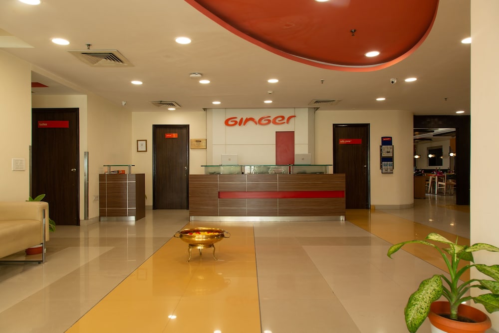 Ginger Vapi — Vapi — photo 3