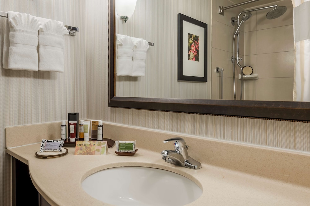 Hilton Garden Inn Atlanta North Alpharetta - photo 21