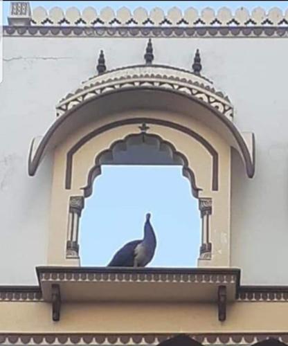 Sureli Haveli — Jaipur — photo 5
