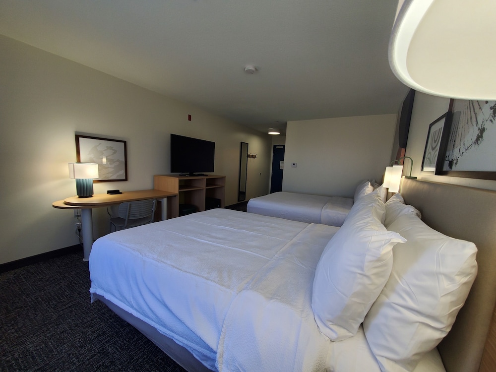 Spark by Hilton Lansing - photo 4