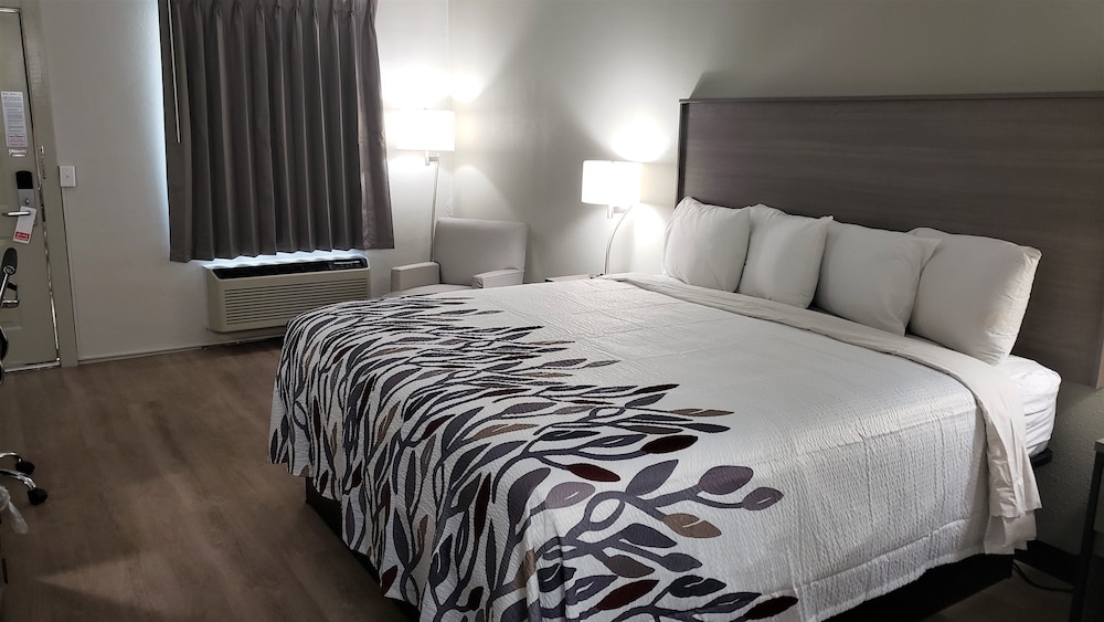 Red Roof Inn Cullman - photo 11