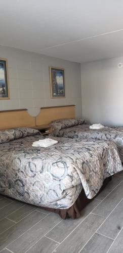 Palms by the Beach Motel - photo 3
